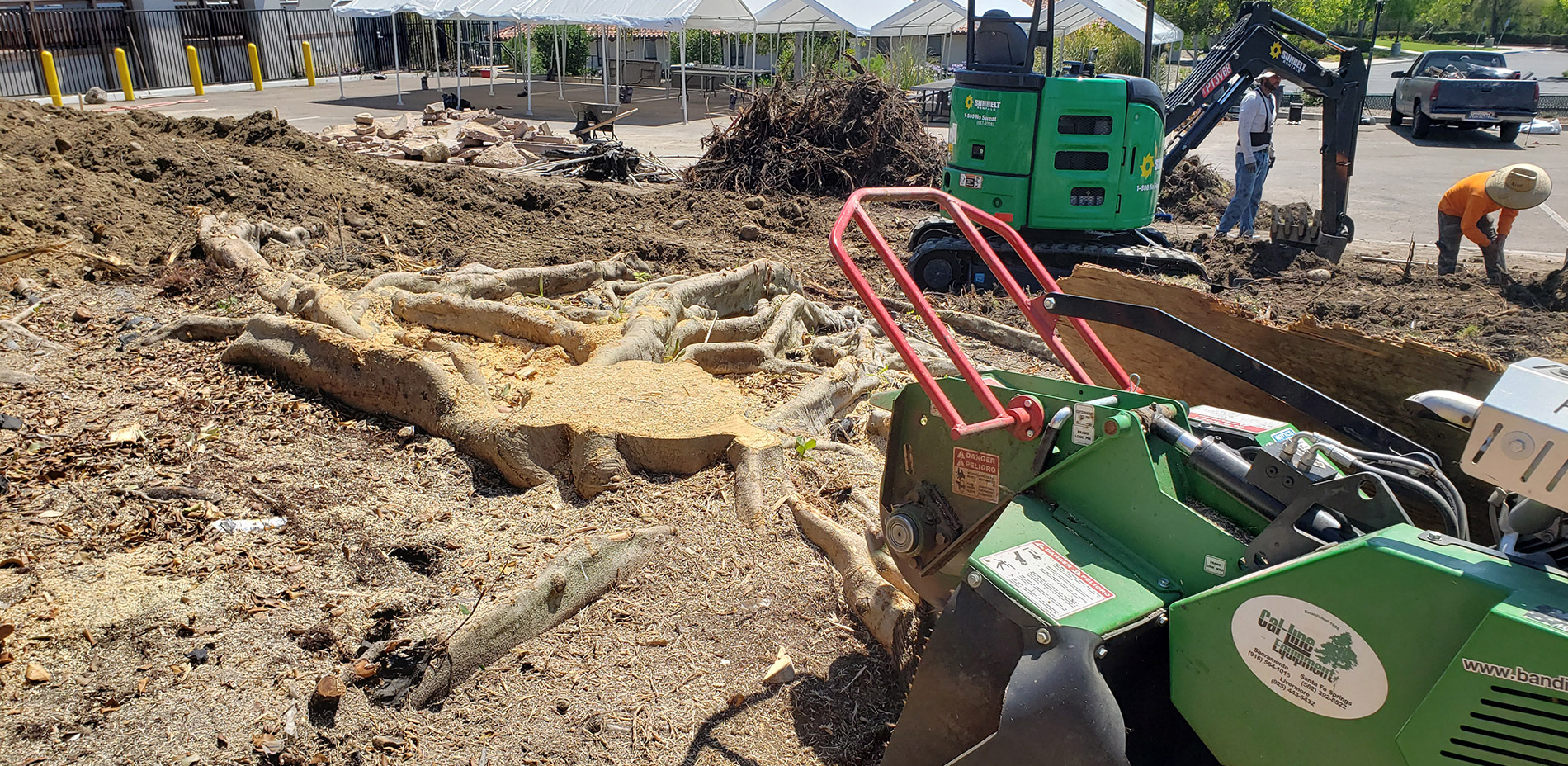 Stump Grinding1